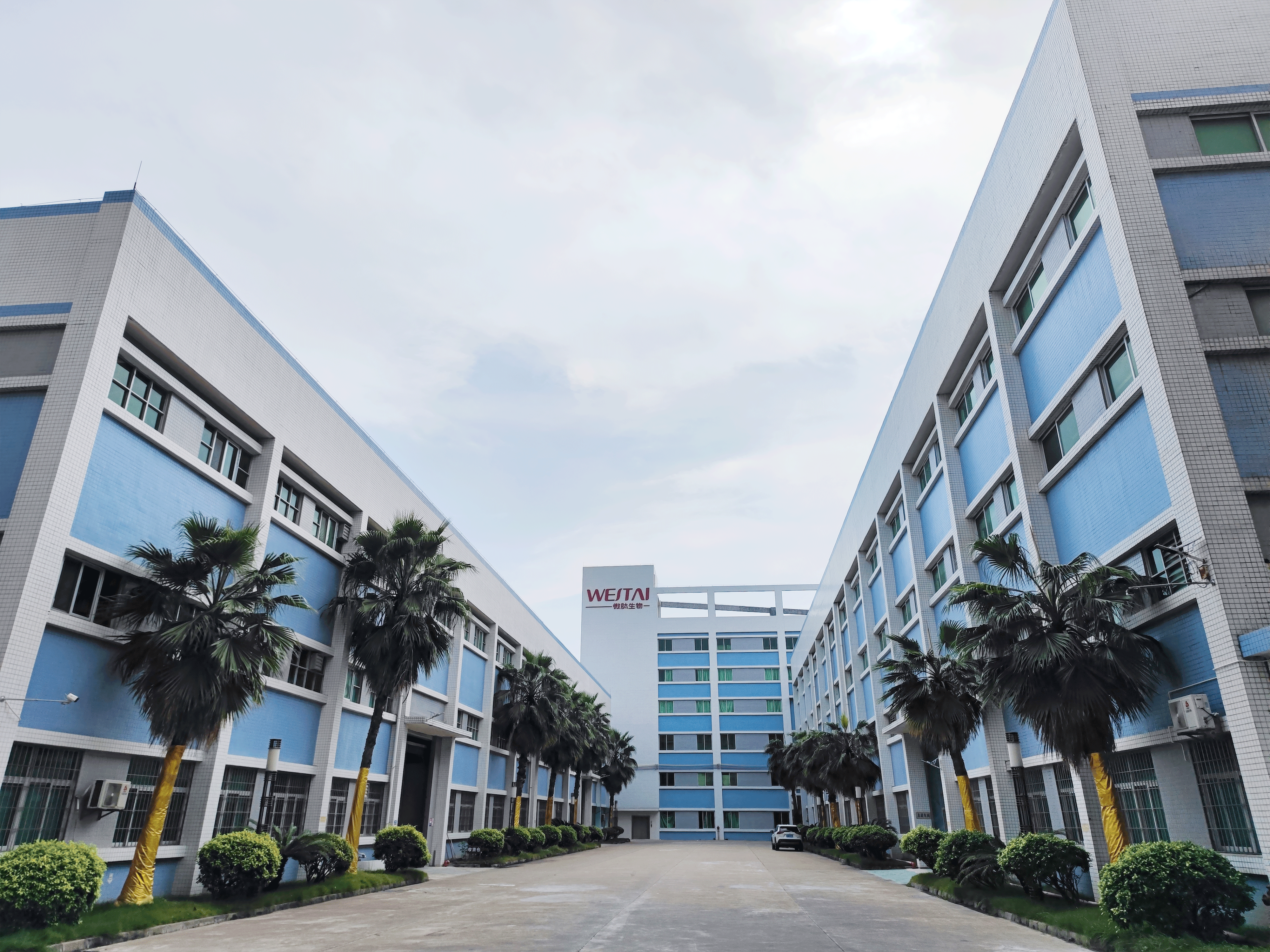 25年积淀，3天-15天快速响应：微肽生物，功效护肤的可靠智造伙伴